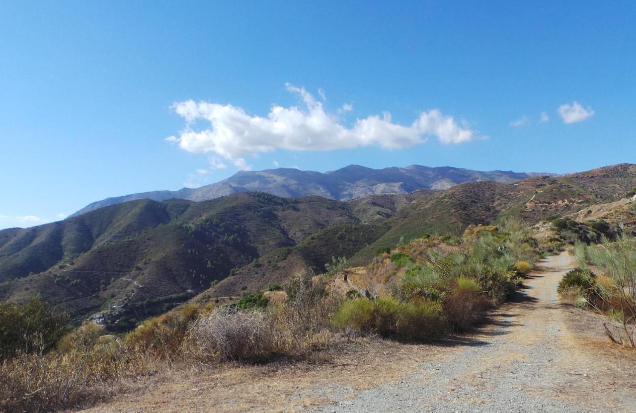 Cortijo Luque Villa เนร์คา ภายนอก รูปภาพ