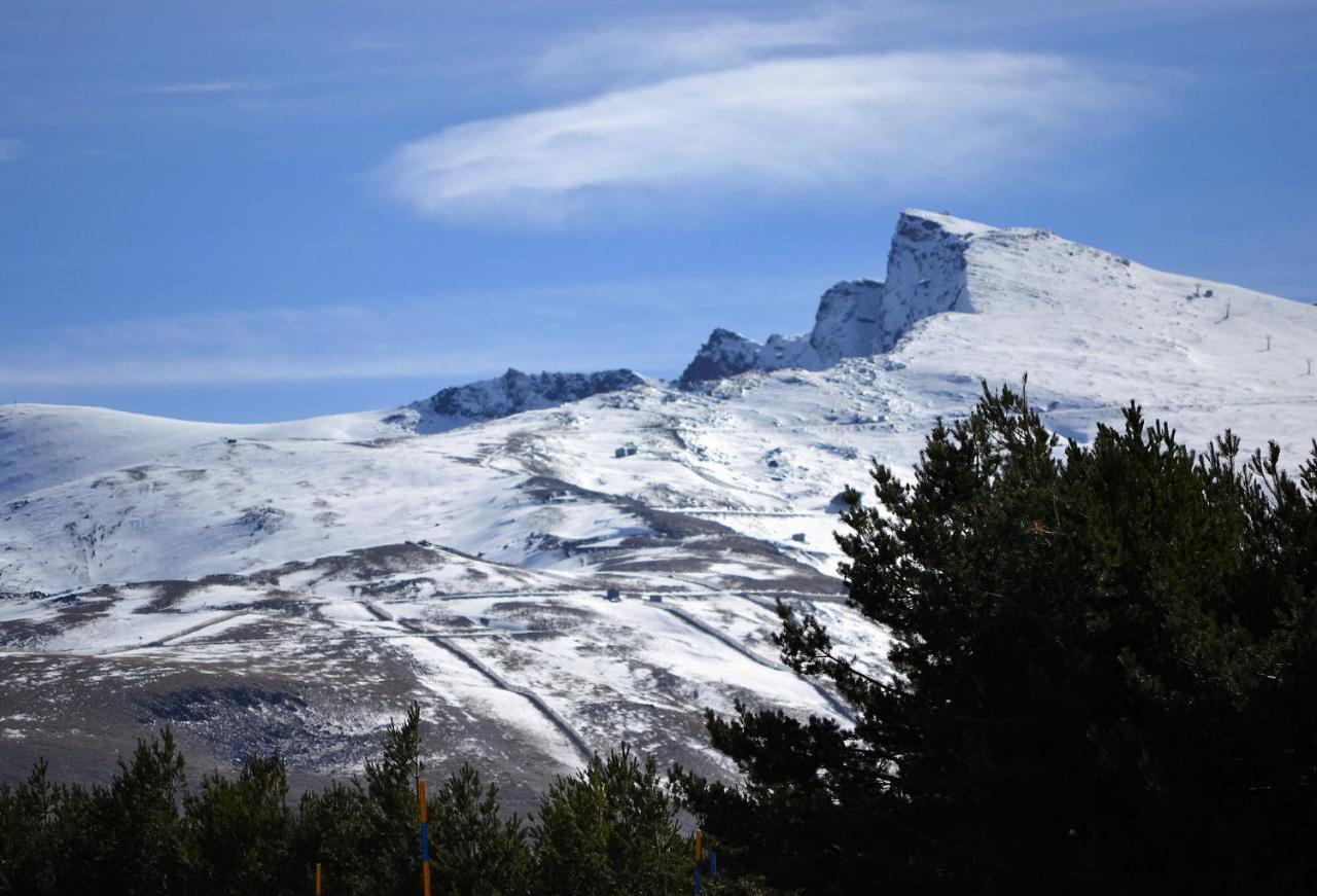 Cortijo Luque Villa เนร์คา ภายนอก รูปภาพ