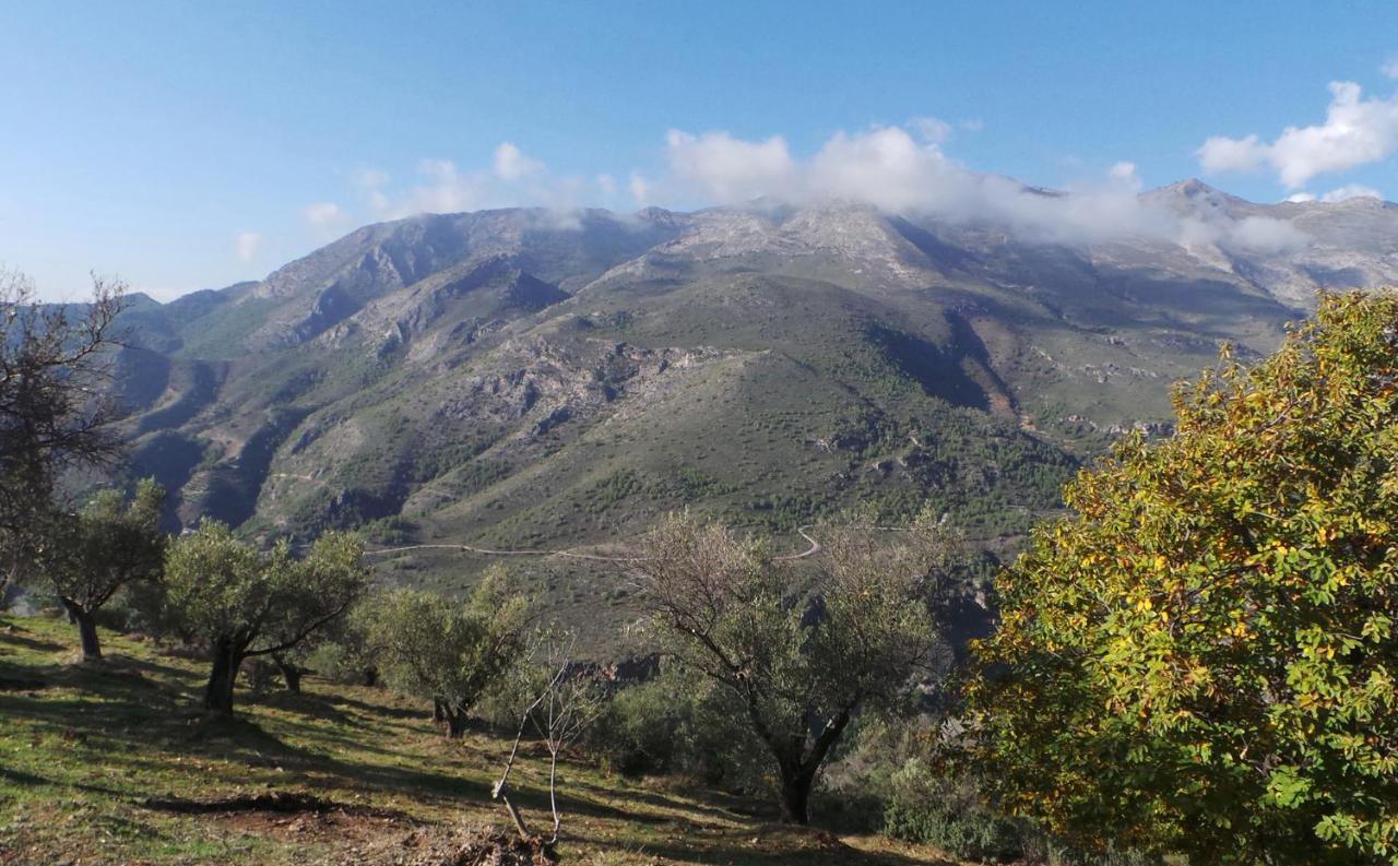 Cortijo Luque Villa เนร์คา ภายนอก รูปภาพ
