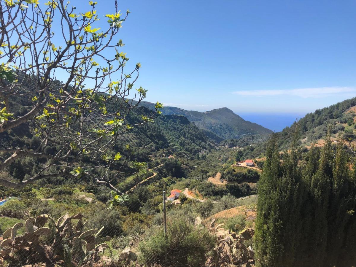 Cortijo Luque Villa เนร์คา ภายนอก รูปภาพ