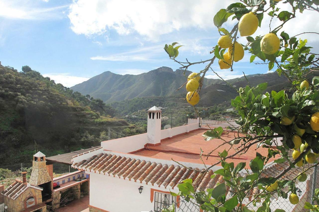 Cortijo Luque Villa เนร์คา ภายนอก รูปภาพ