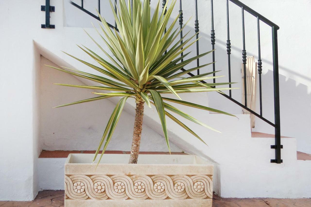 Cortijo Luque Villa เนร์คา ภายนอก รูปภาพ