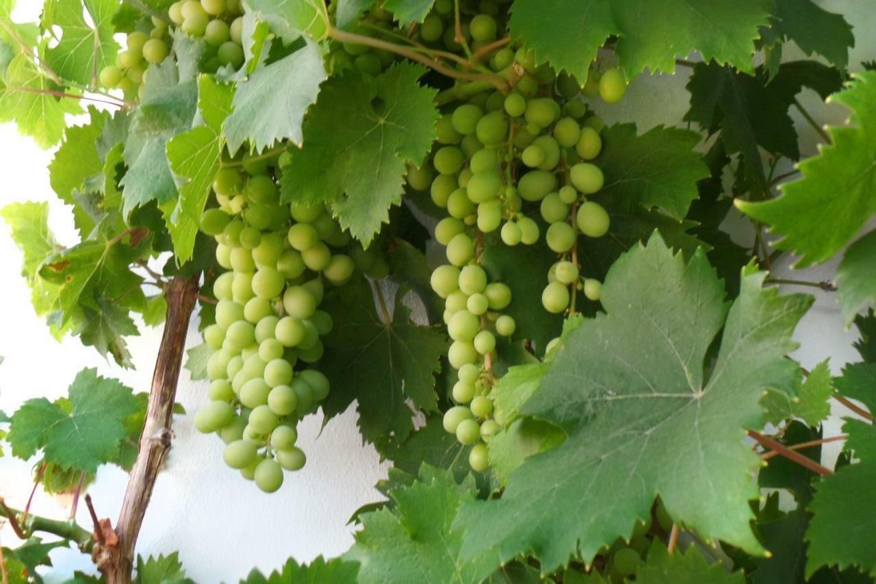 Cortijo Luque Villa เนร์คา ภายนอก รูปภาพ