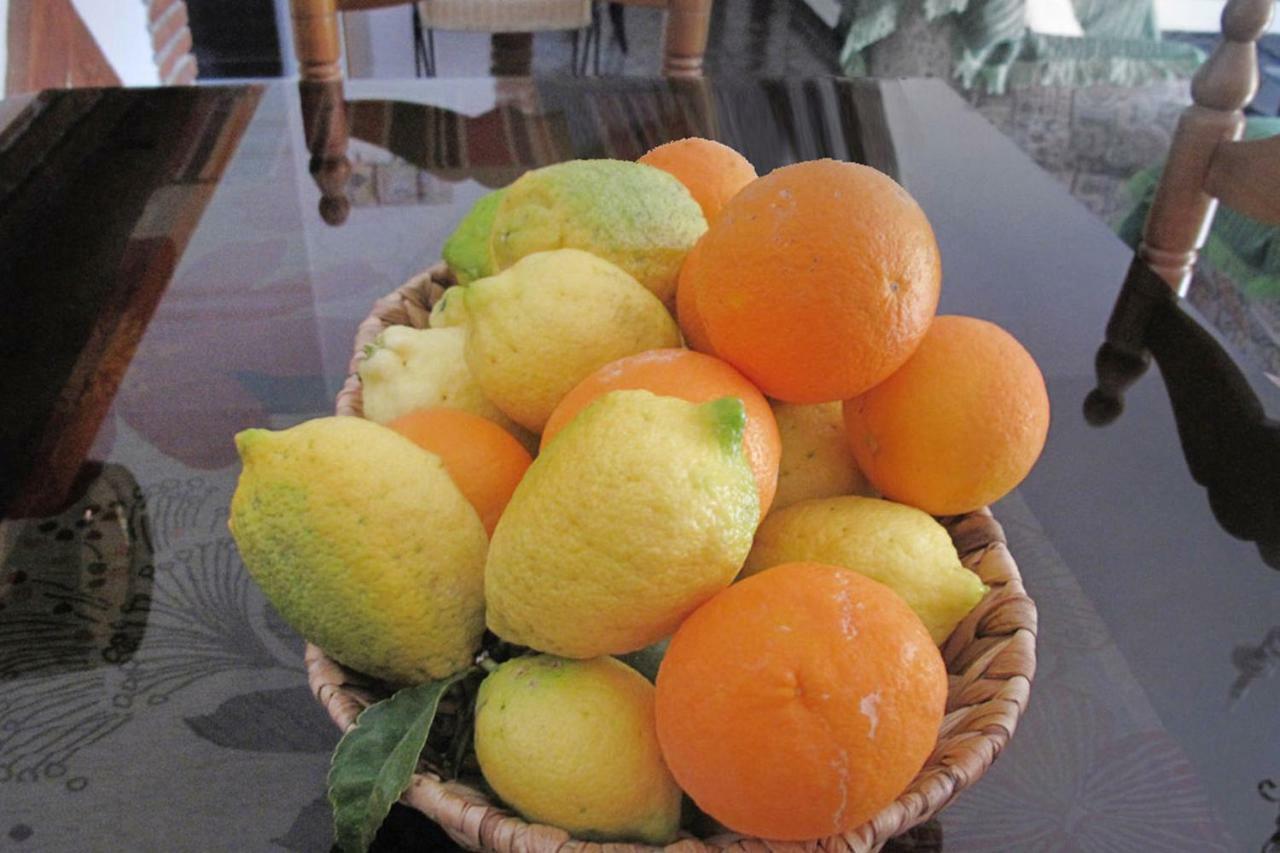 Cortijo Luque Villa เนร์คา ภายนอก รูปภาพ